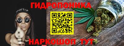 МДПВ Будённовск