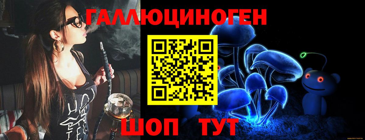 Галлюциногенные грибы Psilocybine cubensis Лесозаводск