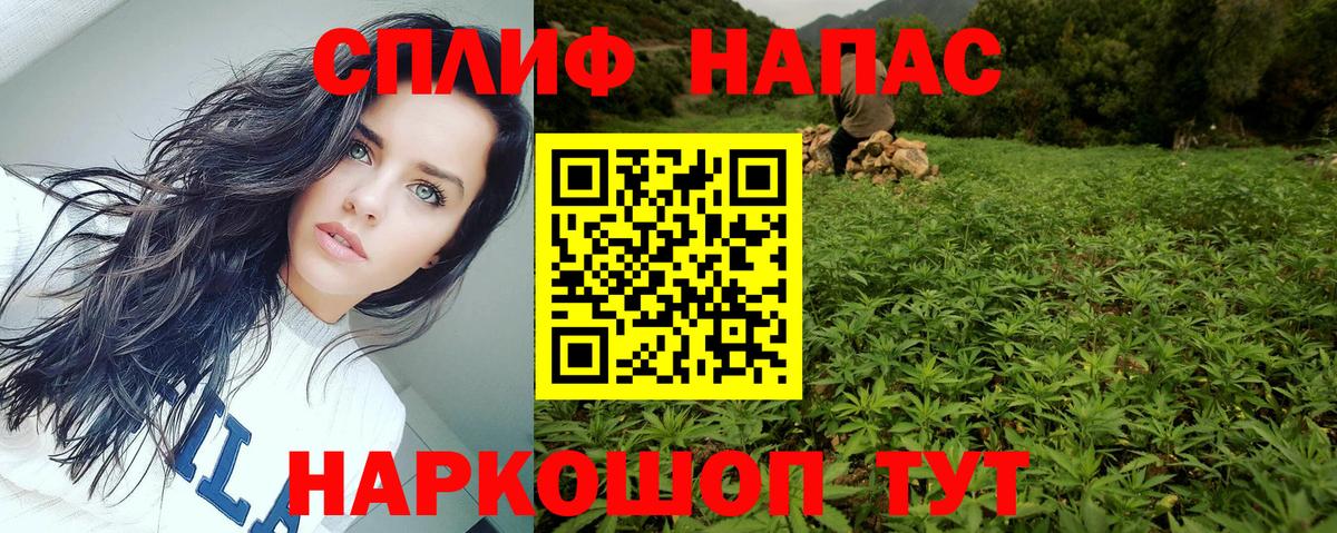 Бошки Шишки семена Лесозаводск